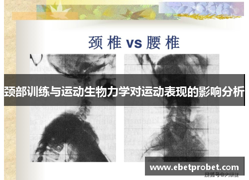 颈部训练与运动生物力学对运动表现的影响分析